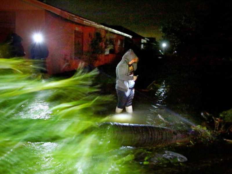 Douglas R. Clifford/Tampa Bay Times via AP&nbsp;<br />