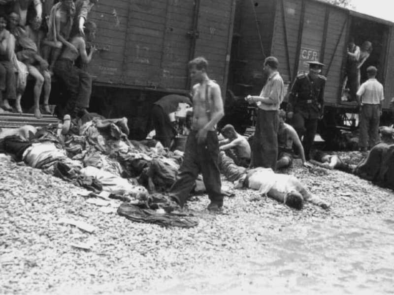 Il "treno della morte" di Iasi (Wikipedia)&nbsp;
