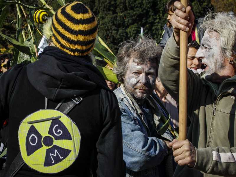 Attivisti No-Ogm in Belgio nel 2013 (Epa/Thierry Roge)&nbsp;<br />