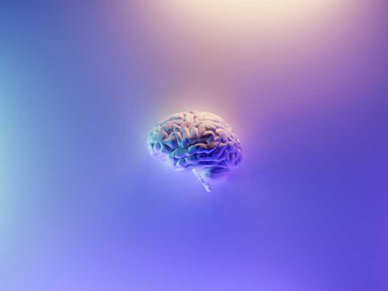 Milad Fakurian via Unsplash <br />