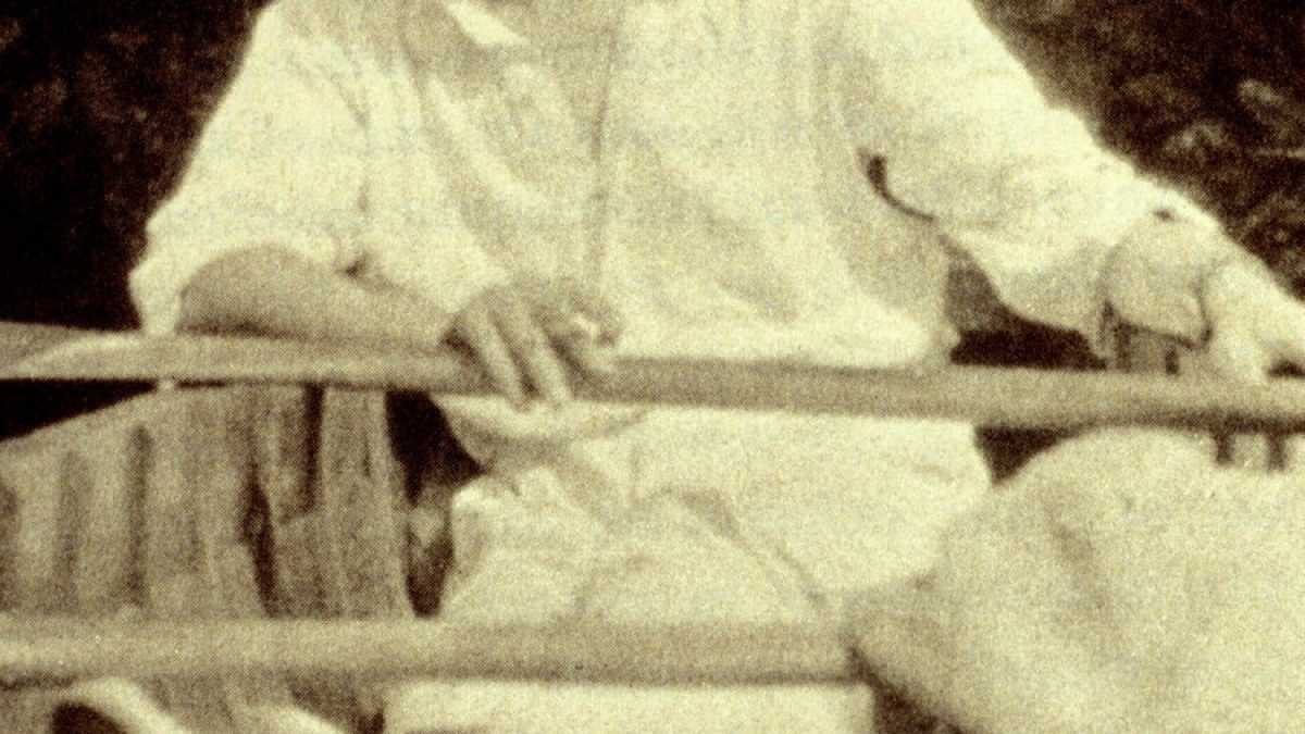 Immagine di La farfalle di Nabokov