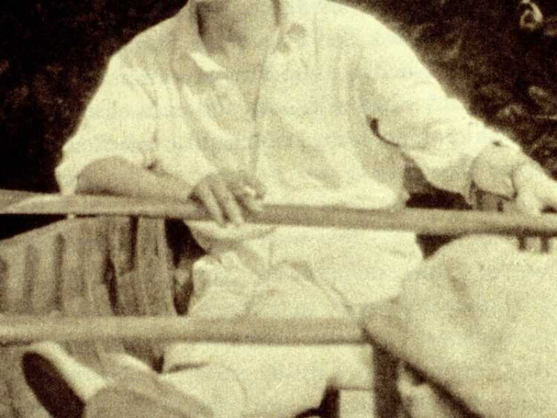 La farfalle di Nabokov