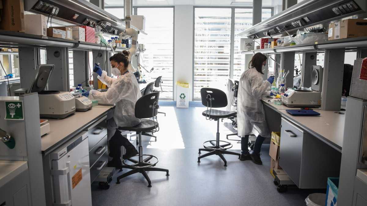 Immagine di I successi dello Human Technopole di Milano fanno ben sperare per la ricerca
