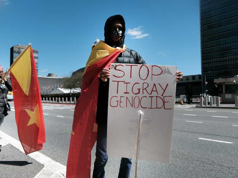 Attivisti davanti alla sede delle Nazioni Unite per protestare contro il conflitto nel Tigray (Foto di Spencer Platt/Getty Images)&nbsp;<br />