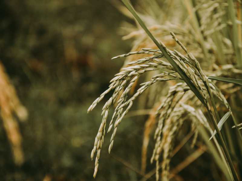Sandy Ravaloniaina (via Unsplash) <br />