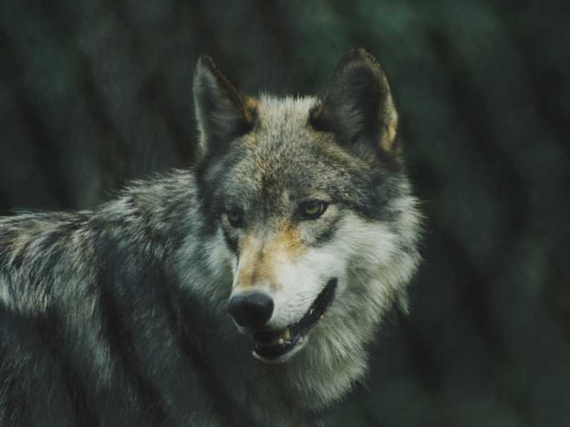 Foto di Michael LaRosa, via Unsplash <br />
