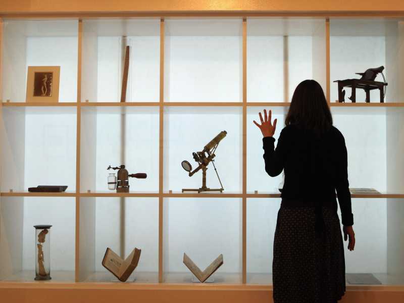 Una mostra della Wellcome Collection del 2011 (foto di Oli Scarff/Getty Images)&nbsp;<br />