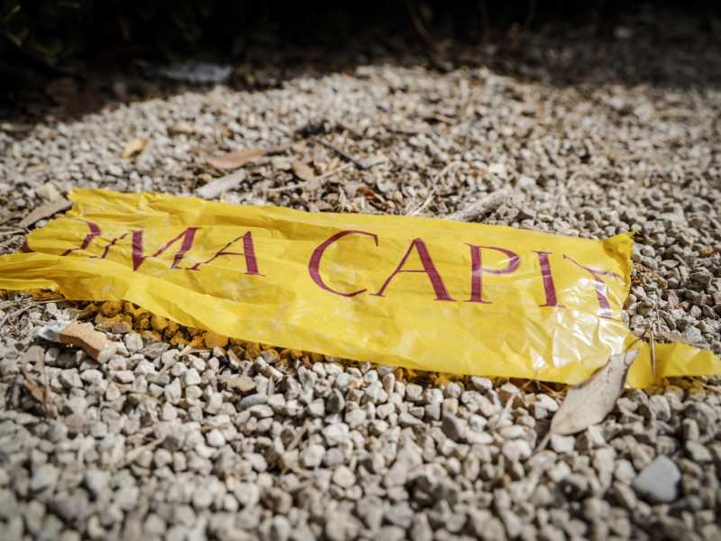 Foto di Giuseppe Lami, via Ansa&nbsp;<br />