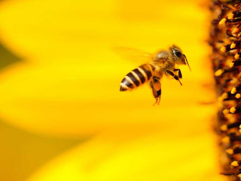 Foto di Boris Smokrovic, via Unsplash <br />