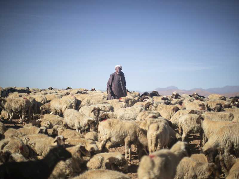 Foto di Mosa'ab Elshamy, AP Photo, via LaPresse <br />