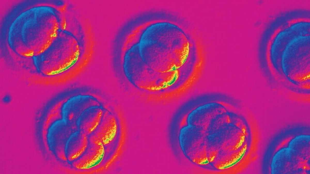 Immagine di Il grande bluff dei guru dell'epigenetica
