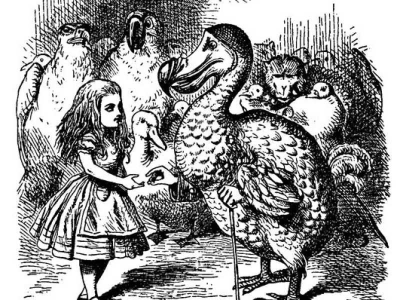 In “Alice nel Paese delle Meraviglie”, qui illustrato da John Tenniel (Wikipedia), il dodo compare come caricatura dello stesso autore Lewis Carroll<br />