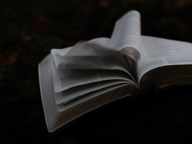 Foto di Priscilla Du Preez, via Unsplash<br />&nbsp;<br />
