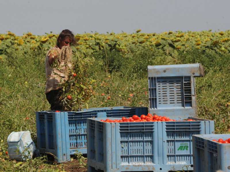 Foto di Franco Cautillo, via Ansa<br />&nbsp;<br />