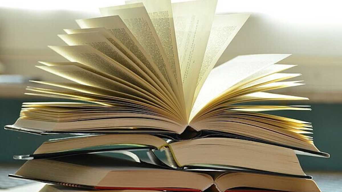 Immagine di Senza questo romanzo non esisterebbero né Rachel Cusk né Sally Rooney