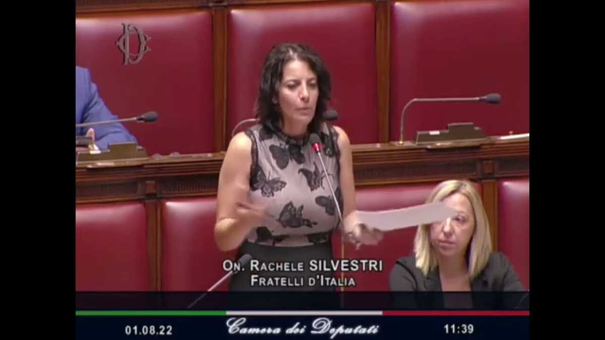 Immagine di Rachele Silvestri: "Il figlio con Lollobrigida? Veleni dei parlamentari FdI. Meloni non ha visto il test del dna"