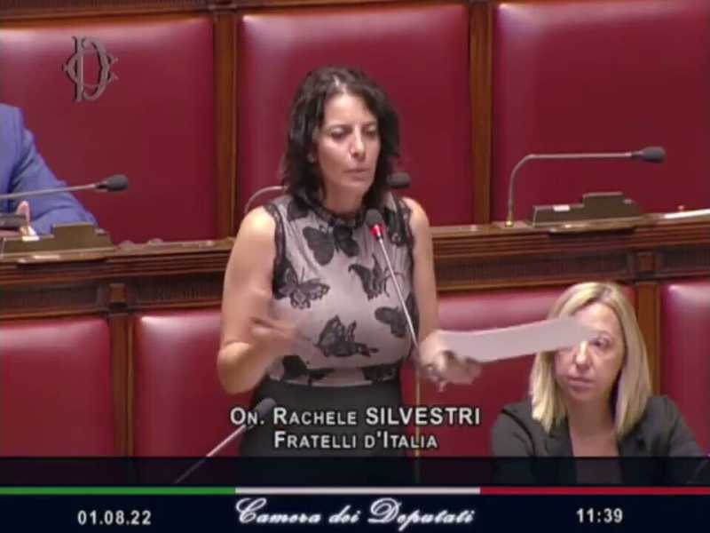 Rachele Silvestri: "Il figlio con Lollobrigida? Veleni dei parlamentari FdI. Meloni non ha visto il test del dna"