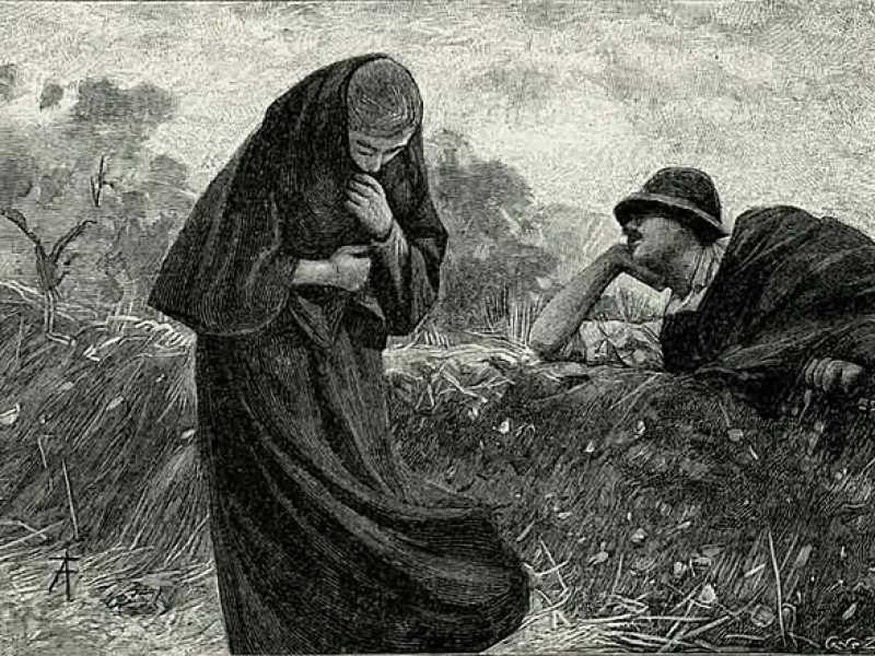Wikimedia Commons