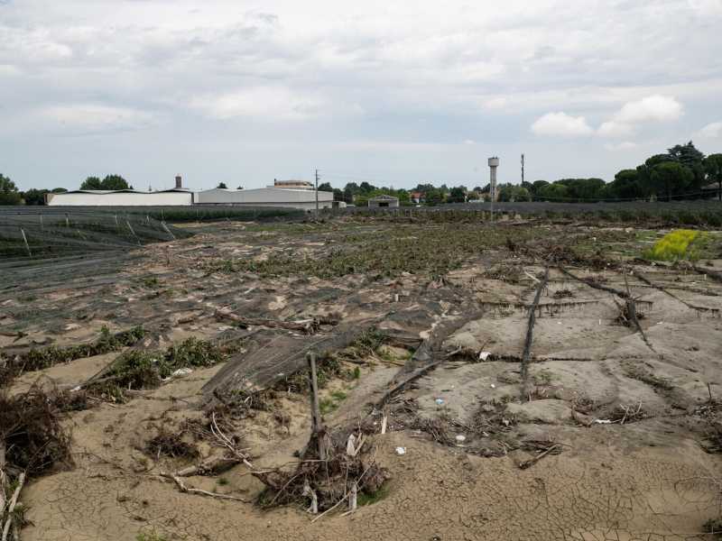"In Romagna l’uomo ha tradito sé stesso, non la natura”. Parla Maurizio Maggiani