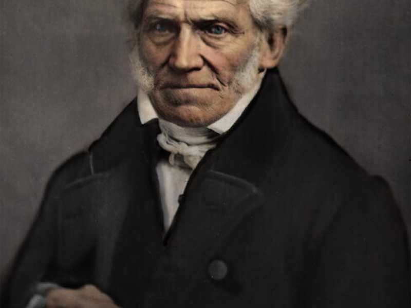 Wikimedia Commons&nbsp;