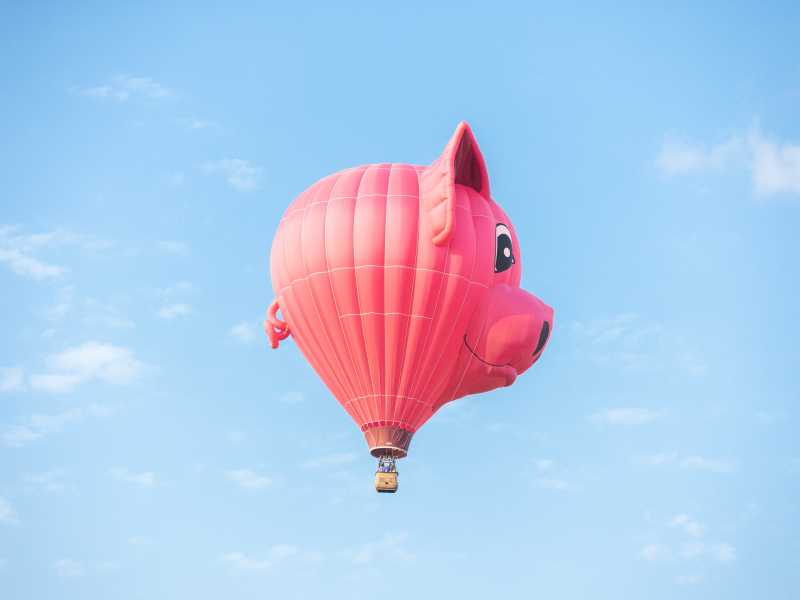 (foto di&nbsp;benjamin lehman su Unsplash)<br />