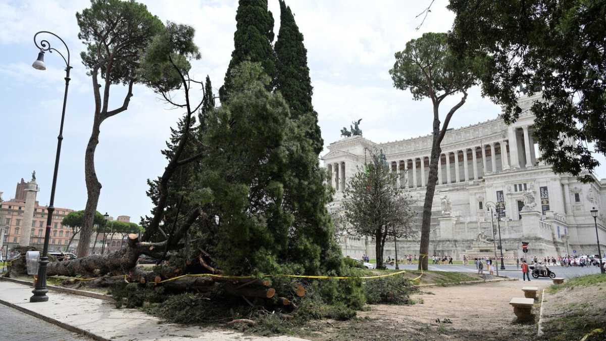 Immagine di I pini di Roma, da Ottorino Respighi a (pardòn) Gualtieri