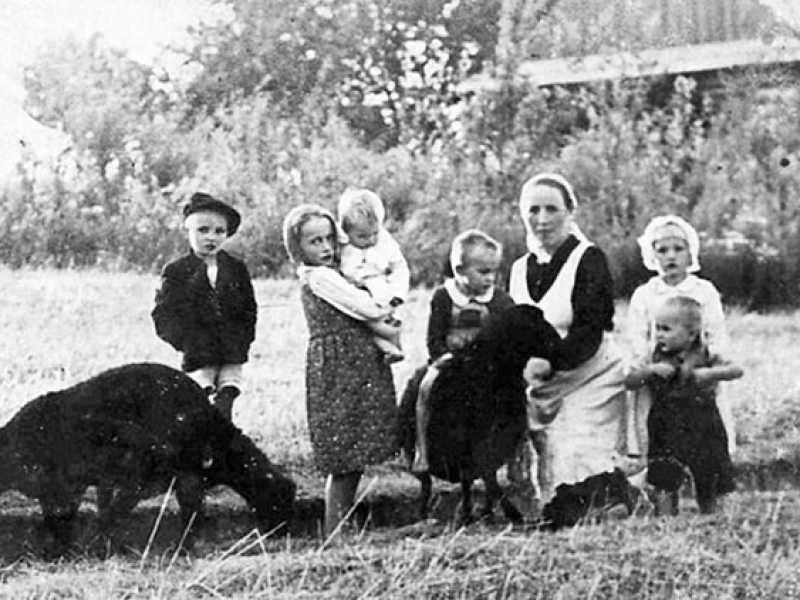 Wikimedia Commons&nbsp;