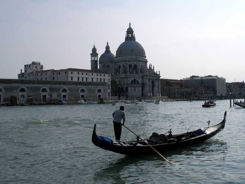 Wikimedia Commons&nbsp;