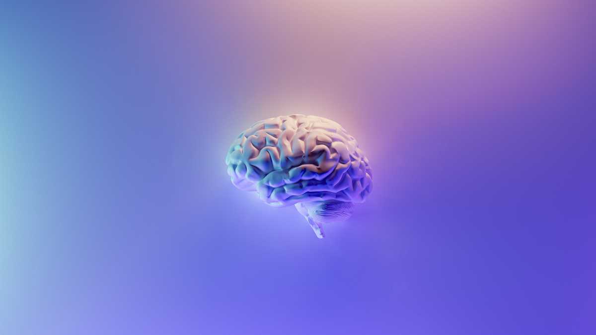 Immagine di E' possibile creare un cervello da zero?