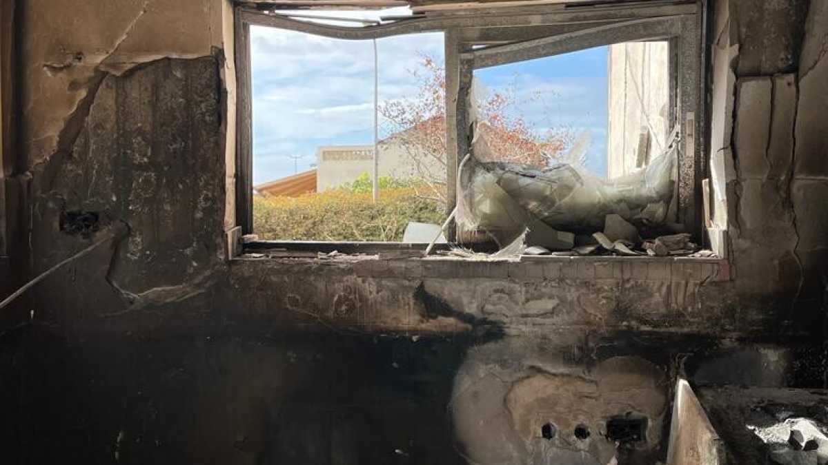 Immagine di La bella spocchia da kibbutz