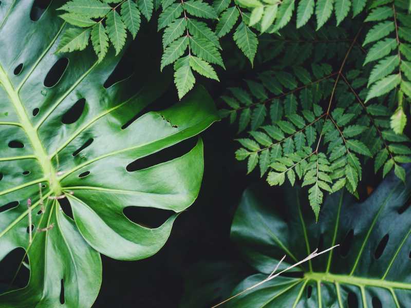 &nbsp;Unsplash