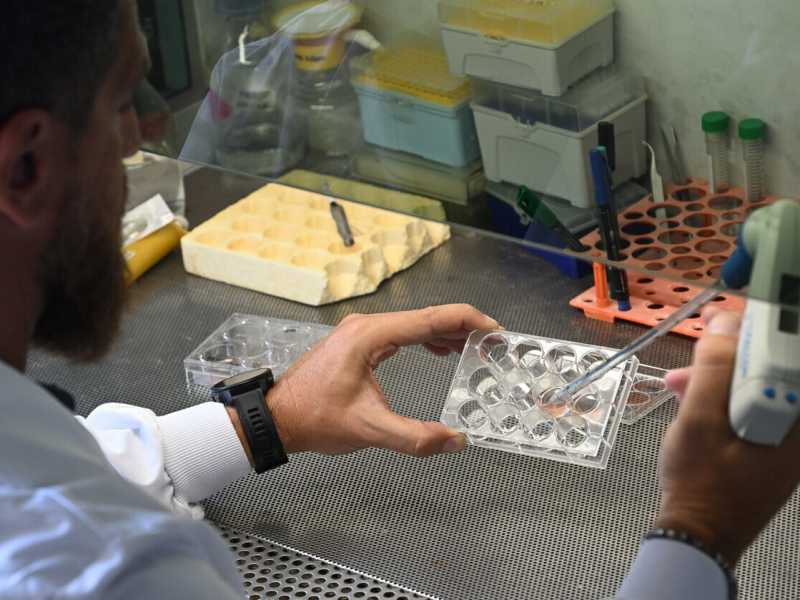  Un ricercatore dell'Università Tor Vergata di Roma