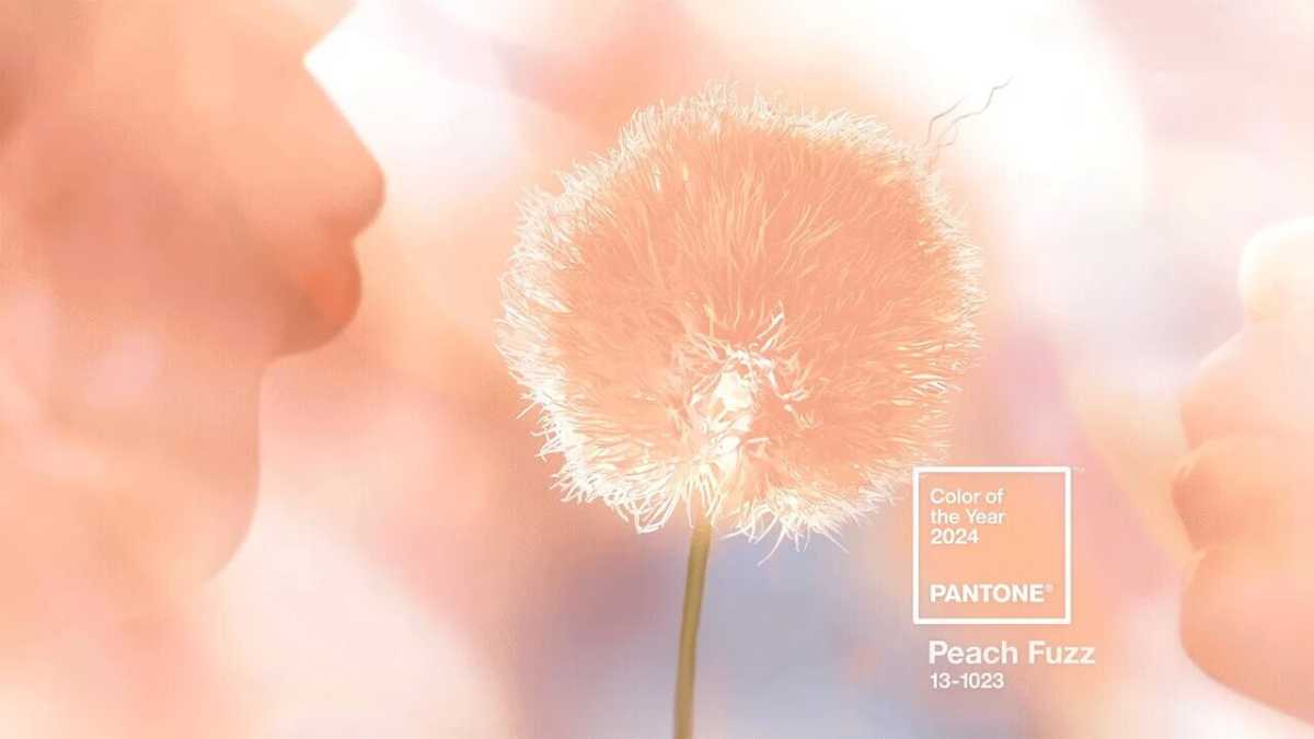 Immagine di I trend del 2024: color pesca, lavoro da casa, IA, show food e tanto ambientalismo