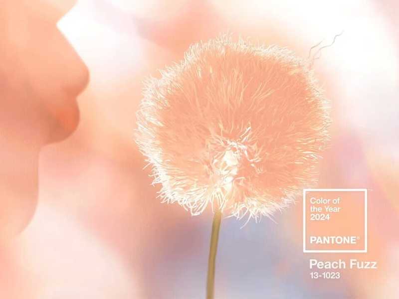 I trend del 2024: color pesca, lavoro da casa, IA, show food e tanto ambientalismo