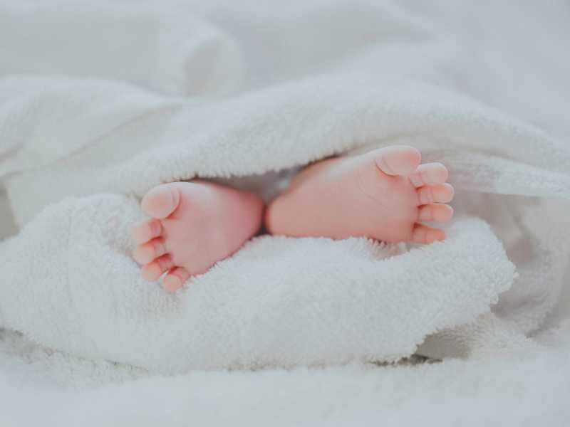 Foto di F&eacute; Ng&ocirc; su Unsplash&nbsp;<br />