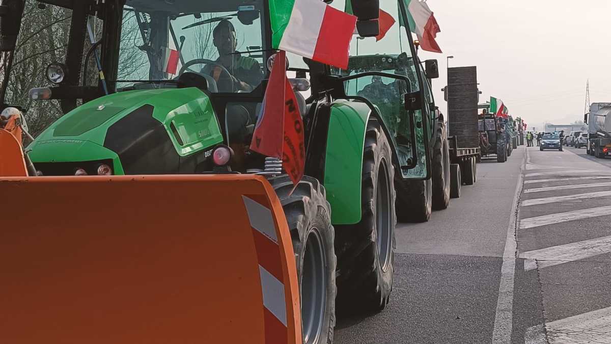 Immagine di Trattori e rettori: gara Meloni-Salvini per gli agricoltori, stop di Bernini agli atenei online