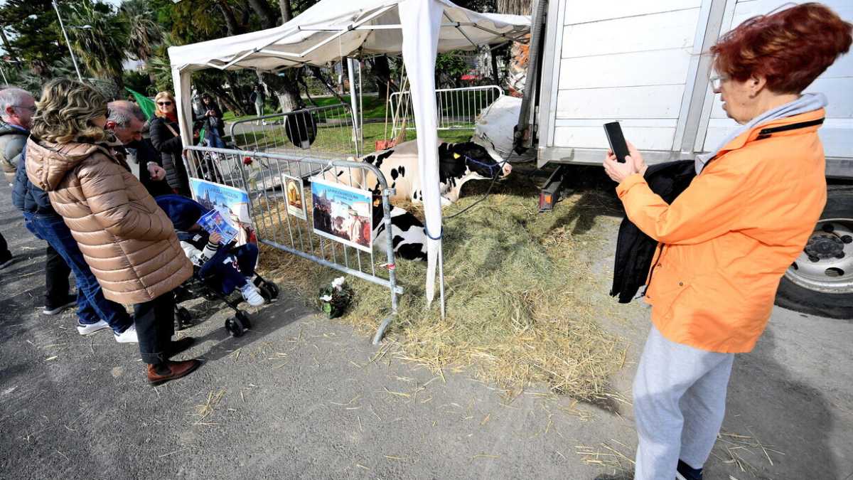 Immagine di A Sanremo, Festival della protesta italiana, manca solo Ultima generazione