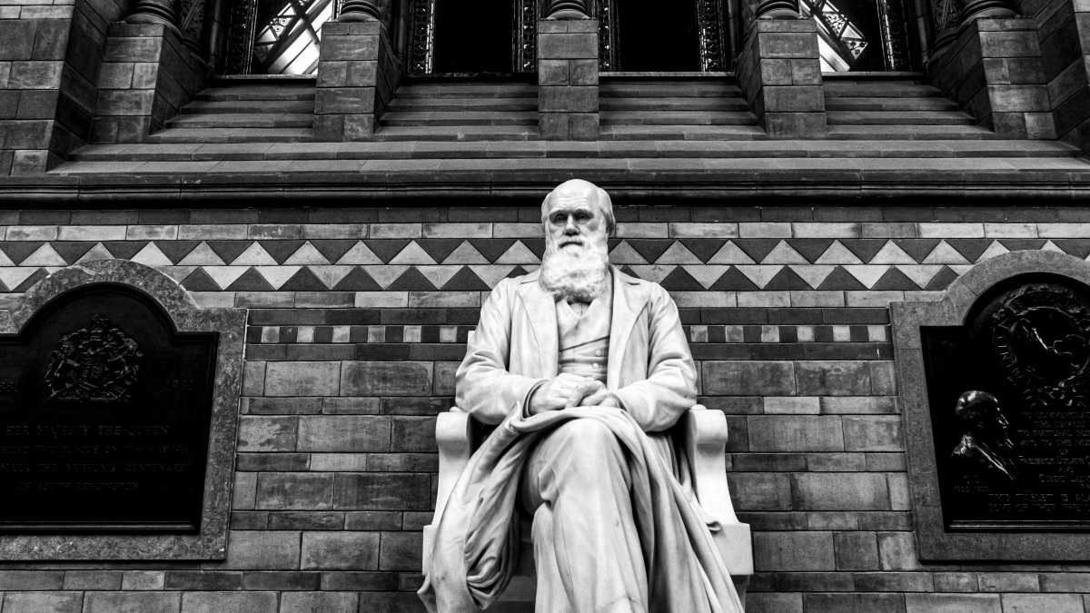 Immagine di La biblioteca di Charles Darwin
