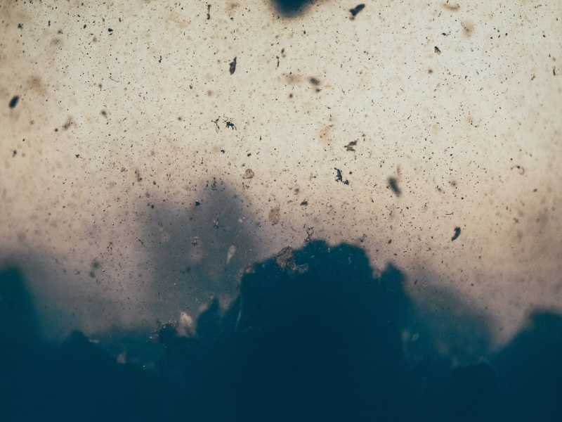 Foto di camilo jimenez su Unsplash&nbsp;<br />