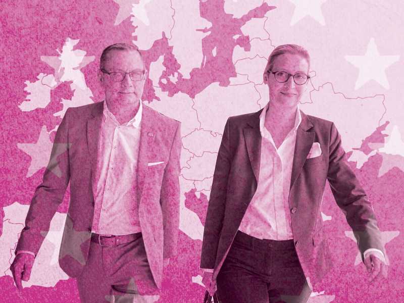 Il tracollo dell’Afd, tra scandali e soldi russi e cinesi