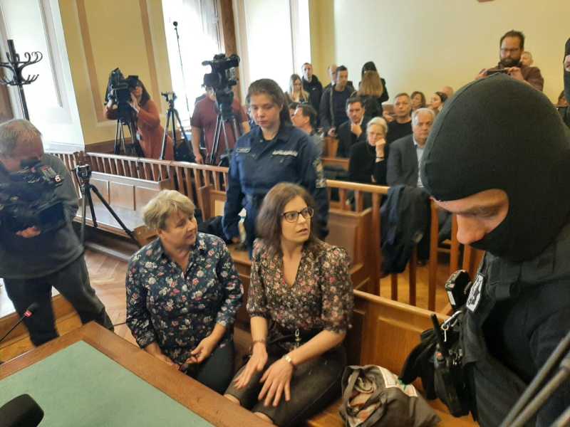 Ilaria Salis in aula a Budapest (Ansa) 