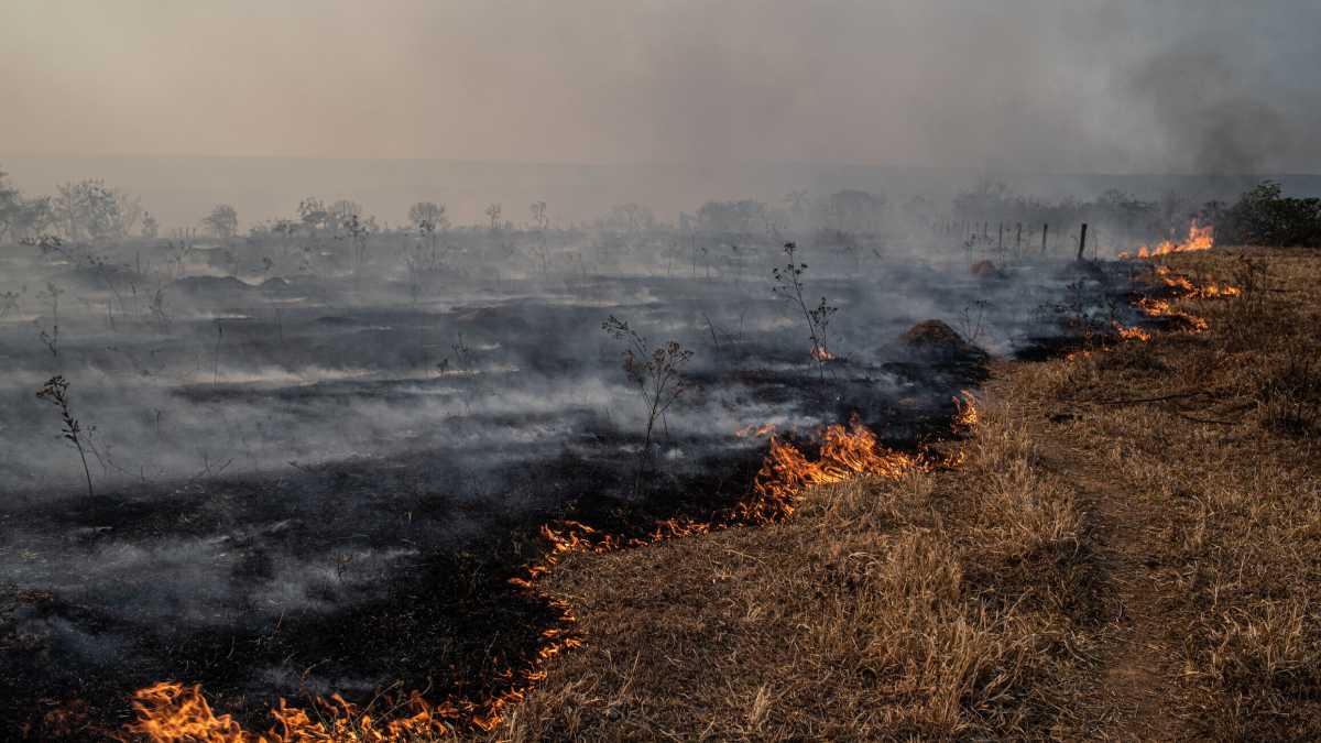 Immagine di Dopo la catastrofe e l’annichilimento. Cosa significa vivere da sopravvissuti