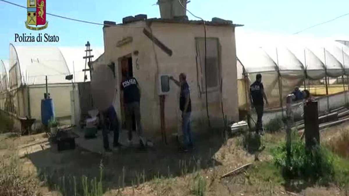 Immagine di Jihad di provincia
