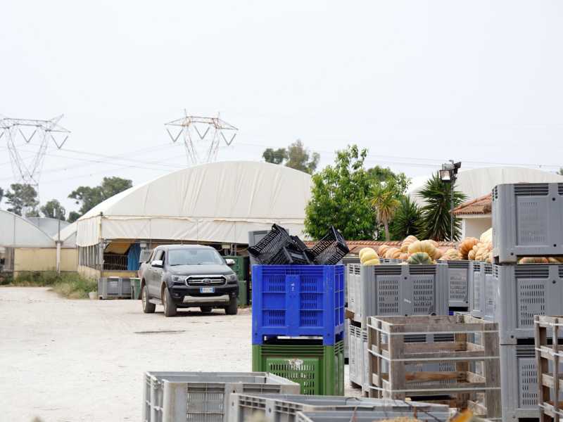 L'Azienda agricola Lovato dove lavorava Satnam Singh (Ansa)&nbsp;<br />