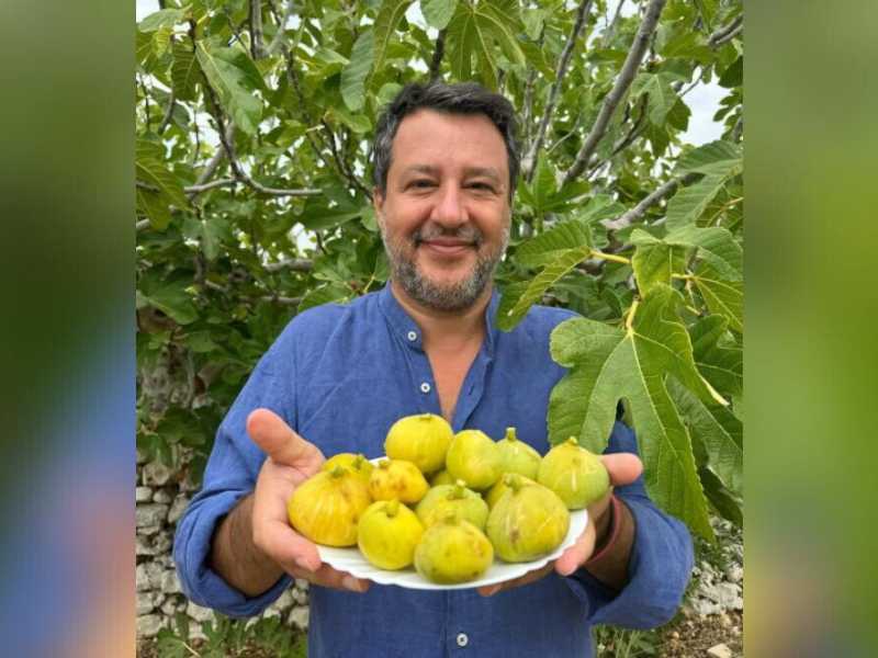 &nbsp;Matteo Salvini con un cesto di fichi - foto Ansa