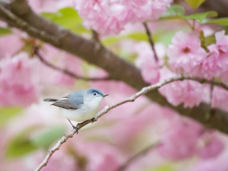 (foto di Ray Hennessy su Unsplash)<br />