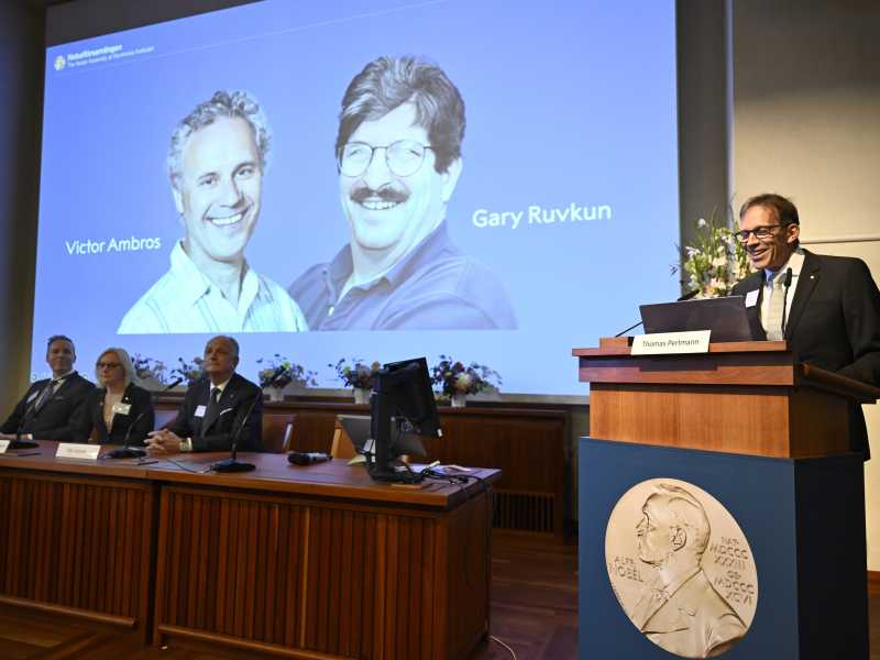 Foto LaPresse