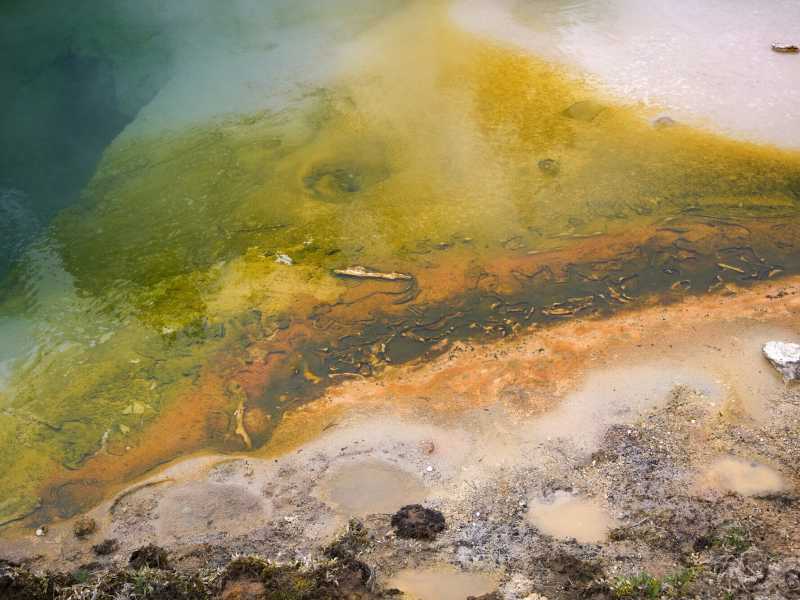 I colori di una sorgente termale a West Thumb, Yellowstone. (Foto di: Planet One Images/Universal Images Group via Getty Images)&nbsp;<br />