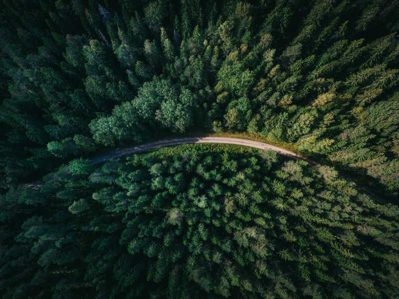 (foto di Geranimo su Unsplash)