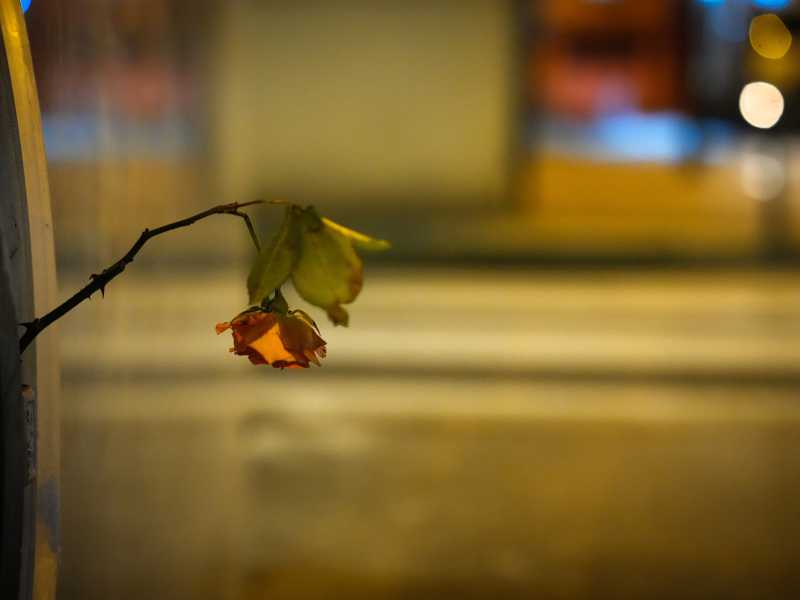 Preparativi per la commemorazione del decimo anniversario dell'attacco terroristico a Charlie Hebdo (Christopher Furlong/Getty Images)&nbsp;<br />
